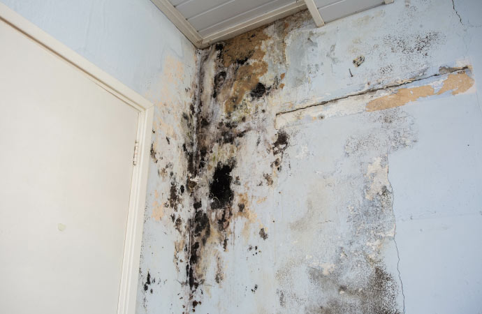A corner of a room with significant black mold growth on the walls.