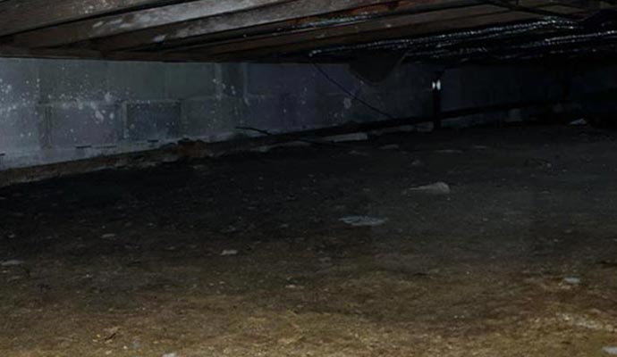 a crawl space with visible signs of water damage