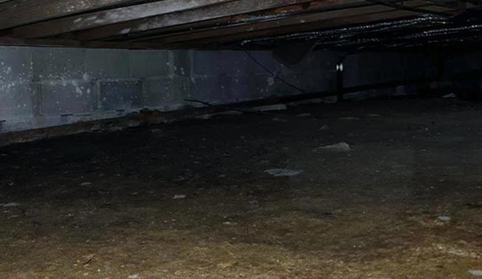 water in crawl space