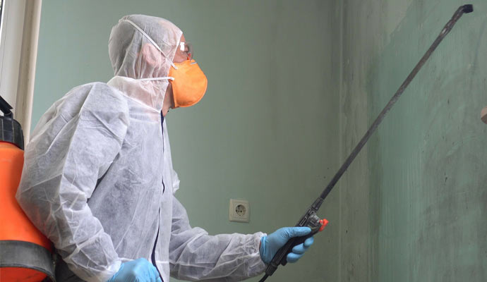 Professional worker treating mold in Portsmouth