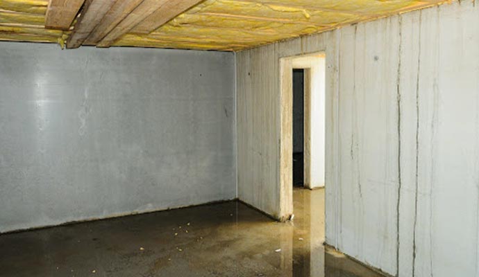 water-in-the-basement